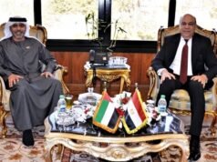 哈夫尼:埃及與阿聯酋民航領域合作不斷發展