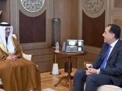 馬德布利:埃及和阿聯酋之間的關係具有歷史意義