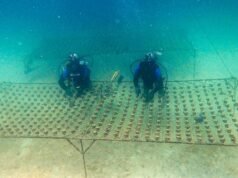 阿聯酋是可持續發展和應對氣候挑戰的全球領導者