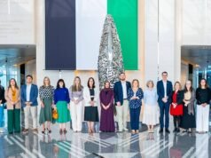 巴西受到阿聯酋政府工作經驗的啟發