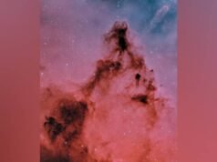 阿布扎比..拍攝樹團和錐狀星雲的令人驚嘆的照片