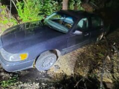 88 歲的俄勒岡州婦女在她的車被困在“偏僻的地方”後獲救