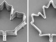 用於微型3D打印的蚊子餵食管