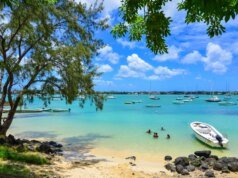 從高空滑索、海豚到難忘的美食