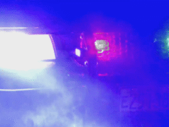 一輛汽車離開俄勒岡州高速公路撞上樹木,造成兩人死亡