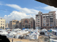 加沙伊斯蘭大學在以色列的破壞中恢復其總部的學習