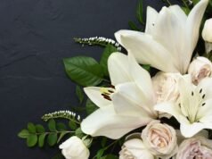 女演員海倫·西弗去世