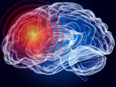 這種微小的肽可以幫助阻止受傷後的大腦損傷。