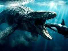 古代海洋是由頂級掠食者統治的,這與今天的情況不同。