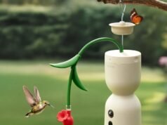 Birdfy 的 Hum Bloom 捕捉蜂鳥的 120fps 慢動作鏡頭