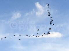 聖地亞哥德爾埃斯特羅位居全國最高氣溫榜首