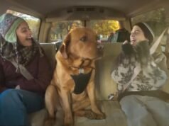 雪佛蘭“記憶巷”廣告令人心碎:“現在我為汽車廣告哭泣”