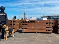 打擊販毒:他們查獲了 700 多公斤運往西班牙的摻木可卡因