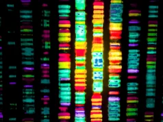 98%的謎團:科學家剛剛破譯了與阿爾茨海默病相關的“垃圾DNA”代碼