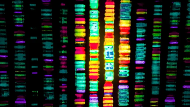 colorful-dna-sequence.webp.webp