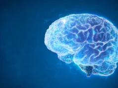 令人驚訝的是,清潔大腦可以減少癲癇發作並恢復記憶。