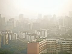 德里每年 PM2.5 污染的三分之一是硫酸二次銨 德里新聞