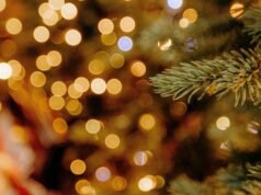 Fairmont Crest 溫馨聖誕節