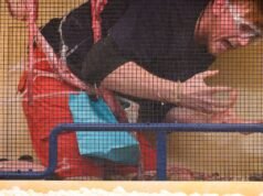 觀看 Ant 和 DEC 此刻緊張的審判中憤怒的 Gudge Snape,並咒罵他的笑聲。