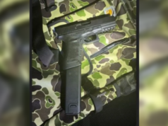 華盛頓逃犯在費爾維尤被捕,繳獲手槍和加長彈匣