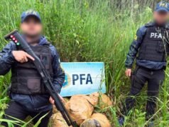 綠豹行動:DFI在米西奧內斯省查獲200多公斤毒品