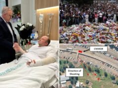 澳大利亞總理安東尼·阿爾巴內塞宣佈為反猶太邦迪襲擊英雄頒發英勇獎