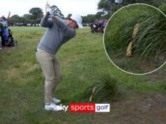 不可堆積!流氓香蕉皮導致麥克羅伊雙柏忌!