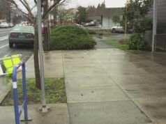 前 Assembly Brewing 所在地的無家可歸者營地一夜之間突然消失