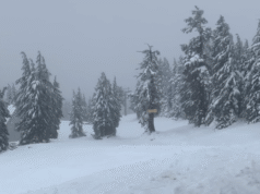 俄勒岡喀斯喀特山脈上下的道路上積滿了厚厚的山雪