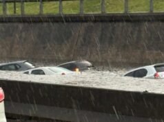 一位受洪水影響的鄰居問哈維爾·麥莉:“他空中有狗。”