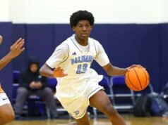 帕利塞茲 (Palisades) 成為該市分區籃球最受歡迎的前 10 名球員