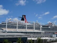 文件稱,同父異母妹妹遊輪死亡案的青少年嫌疑人稱他不記得任何事情