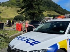 新西蘭露營地發生山體滑坡後救援工作正在進行中