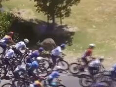 澳大利亞自行車手在贏得最后賽段比賽之前被袋鼠撞倒,而其他三名車手則被迫退賽