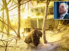 美國特使史蒂夫·維特科夫表示,烏克蘭的和平歸結為一個問題