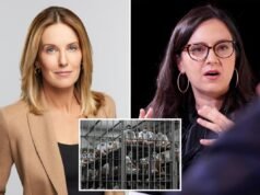 《60 分鐘》莎琳·阿方西 (Sharyn Alfonsi) 抨擊巴里·韋斯 (Barry Weiss) 副手:報告