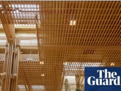 學校、機場、塔樓:邀請建築師為竹子做準備 |綠色建築