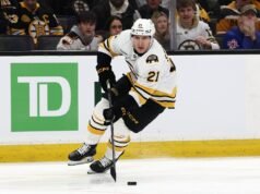 棕熊隊 F 亞歷克斯·史蒂維斯續約兩年