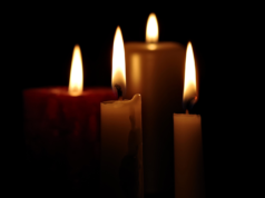 《宿醉》製片人大衛·西格爾去世