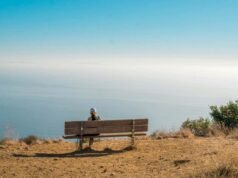 現在的互聯網感覺很孤獨。這就是為什麼