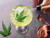 研究發現含有大麻的飲料可以幫助人們減少飲酒