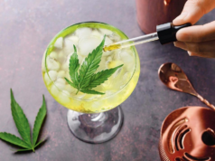 研究發現含有大麻的飲料可以幫助人們減少飲酒