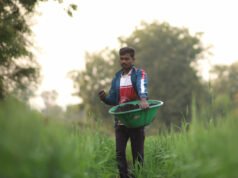 微軟聘請印度公司 Varaha 進行永久脫碳