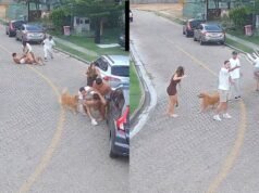 他們發布了一段未公開的視頻,記錄了來自巴西福塔萊薩的三名阿根廷足球運動員之間的醜聞打鬥