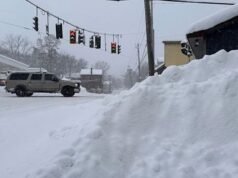 寒冷的冬季風暴“蕨類植物”將席捲美國:您需要了解什麼 |世界新聞