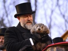 Punxsutawney Phil 現在幾歲了?今天的土撥鼠時代——好萊塢生活