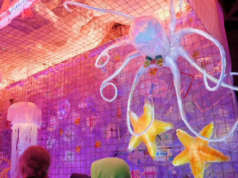 波特蘭冬季燈光節本週將照亮玫瑰城的街道