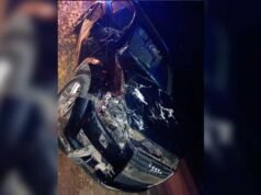 92號公路嚴重事故:商人奧迪車與動物相撞奇蹟獲救