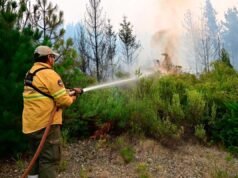 丘布特省大火併未平息:燒毀面積超過5萬公頃