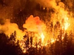 野火:聖克魯斯週一實施緊急狀態